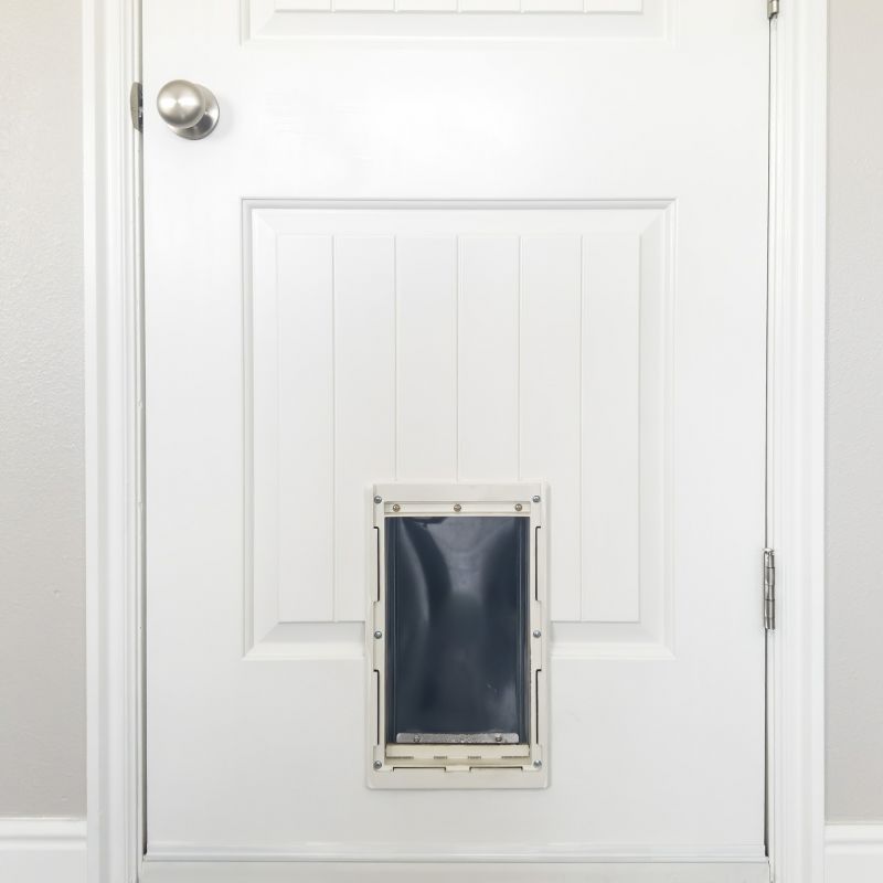 Pet Door Installation Costs — Cost of Pet Door Installation